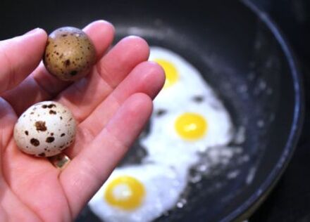 potensial üçün bildirçin yumurtası