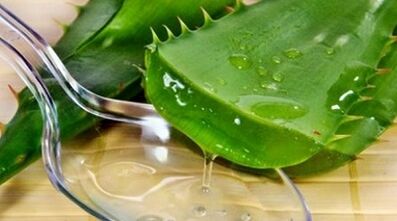 kişilərin potensialını artırmaq üçün aloe